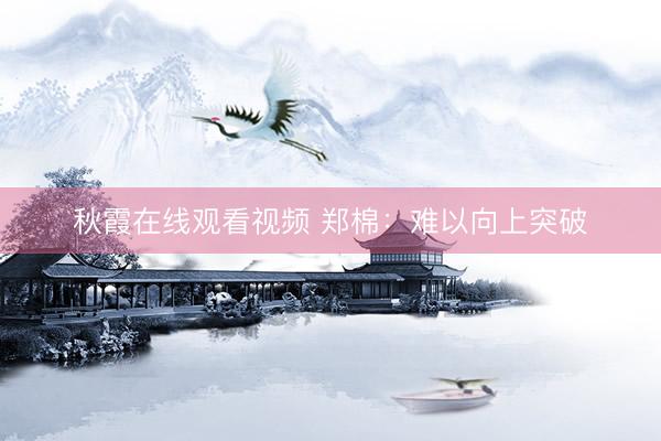 秋霞在线观看视频 郑棉：难以向上突破