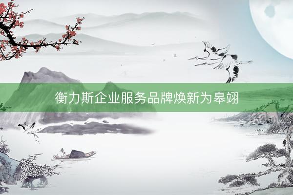 衡力斯企业服务品牌焕新为皋翊
