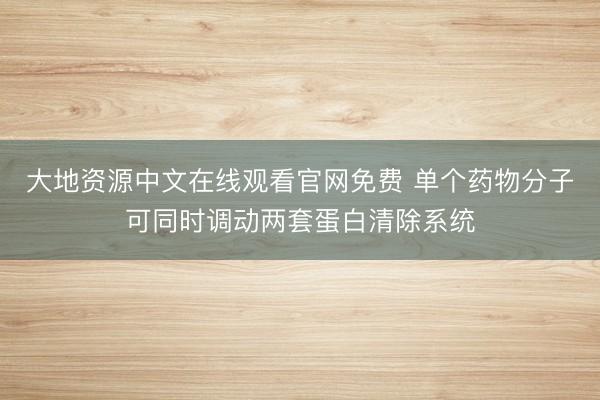 大地资源中文在线观看官网免费 单个药物分子可同时调动两套蛋白清除系统