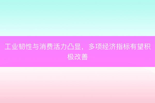 工业韧性与消费活力凸显，多项经济指标有望积极改善