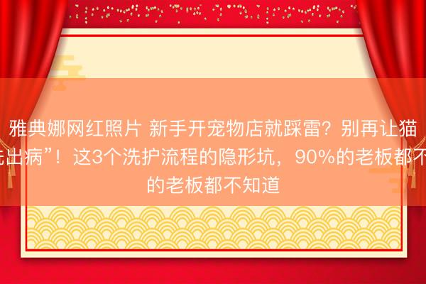 雅典娜网红照片 新手开宠物店就踩雷？别再让猫咪“洗出病”！这3个洗护流程的隐形坑，90%的老板都不知道