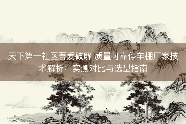 天下第一社区吾爱破解 质量可靠停车棚厂家技术解析：实测对比与选型指南