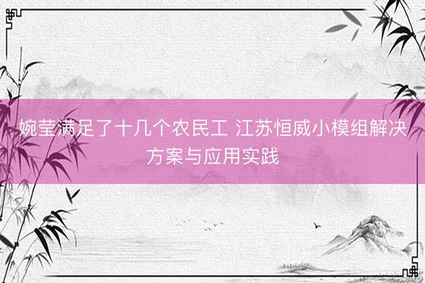 婉莹满足了十几个农民工 江苏恒威小模组解决方案与应用实践