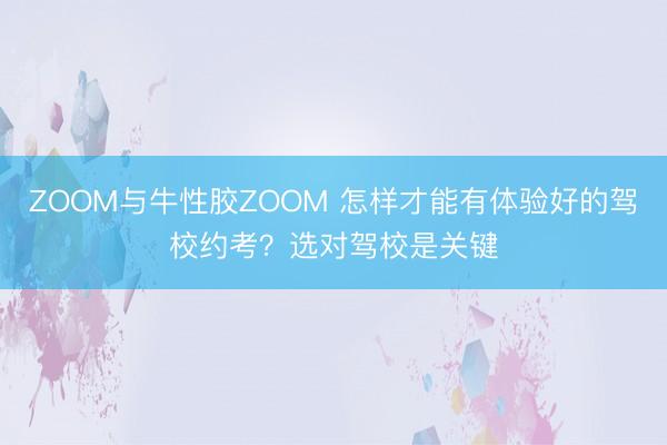 ZOOM与牛性胶ZOOM 怎样才能有体验好的驾校约考？选对驾校是关键