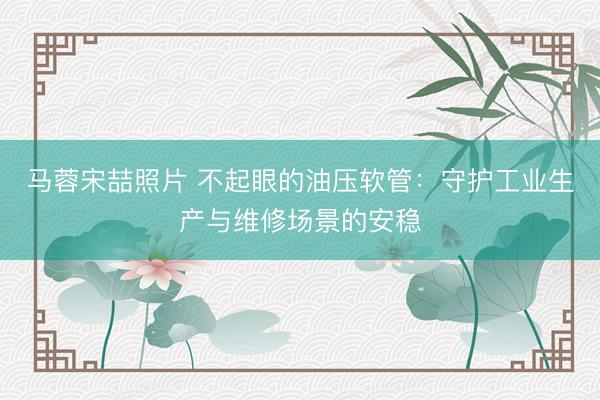 马蓉宋喆照片 不起眼的油压软管：守护工业生产与维修场景的安稳