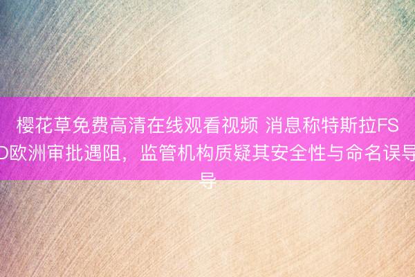樱花草免费高清在线观看视频 消息称特斯拉FSD欧洲审批遇阻，监管机构质疑其安全性与命名误导