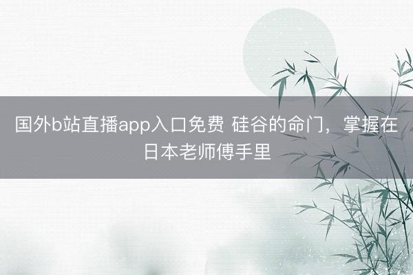 国外b站直播app入口免费 硅谷的命门，掌握在日本老师傅手里