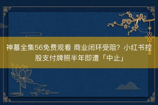 神墓全集56免费观看 商业闭环受阻？小红书控股支付牌照半年即遭「中止」