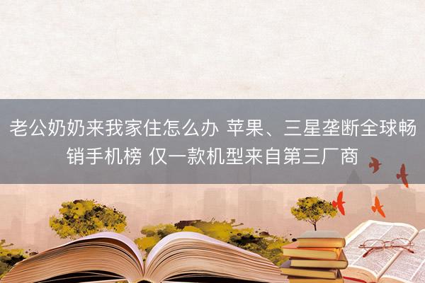 老公奶奶来我家住怎么办 苹果、三星垄断全球畅销手机榜 仅一款机型来自第三厂商