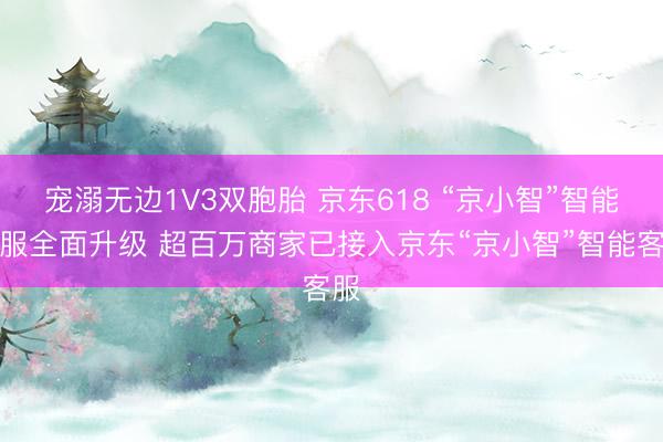 宠溺无边1V3双胞胎 京东618 “京小智”智能客服全面升级 超百万商家已接入京东“京小智”智能客服