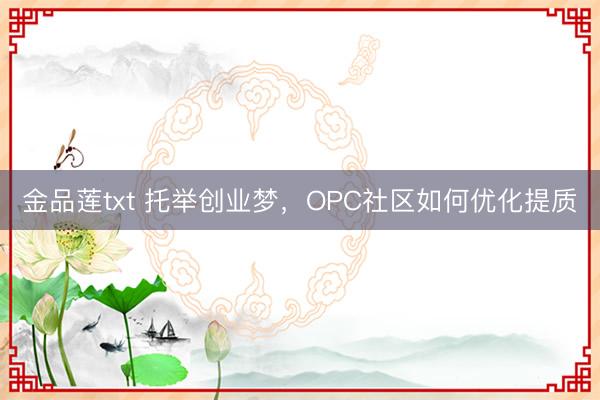 金品莲txt 托举创业梦，OPC社区如何优化提质