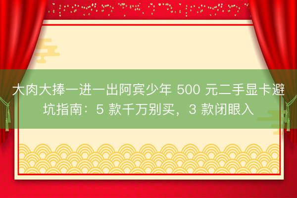 大肉大捧一进一出阿宾少年 500 元二手显卡避坑指南：5 款千万别买，3 款闭眼入