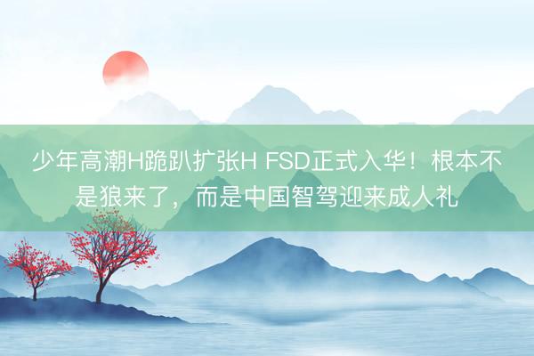 少年高潮H跪趴扩张H FSD正式入华!根本不是狼来了,而是中国智驾迎来成人礼