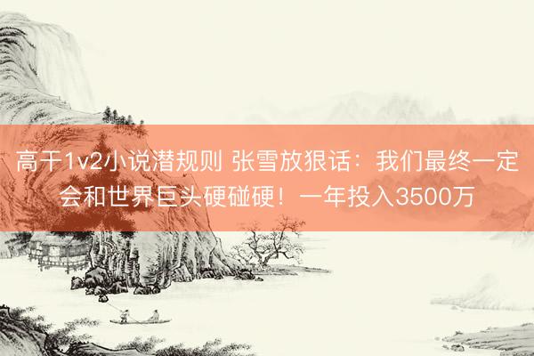 高干1v2小说潜规则 张雪放狠话:我们最终一定会和世界巨头硬碰硬!一年投入3500万