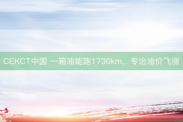 СЕКСТ中国 一箱油能跑1730km,专治油价飞涨
