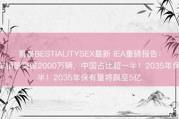嘼皇BESTIALITYSEX最新 IEA重磅报告：2025全球电动车销量突破2000万辆，中国占比超一半！2035年保有量将飙至5亿