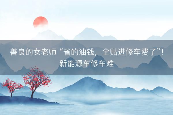 善良的女老师 “省的油钱，全贴进修车费了”！新能源车修车难