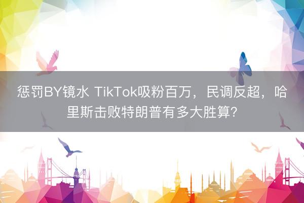 惩罚BY镜水 TikTok吸粉百万，民调反超，哈里斯击败特朗普有多大胜算？