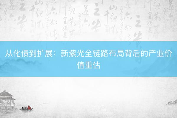 从化债到扩展：新紫光全链路布局背后的产业价值重估