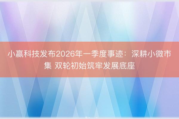 小赢科技发布2026年一季度事迹：深耕小微市集 双轮初始筑牢发展底座