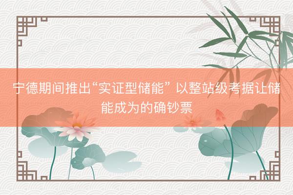 宁德期间推出“实证型储能” 以整站级考据让储能成为的确钞票