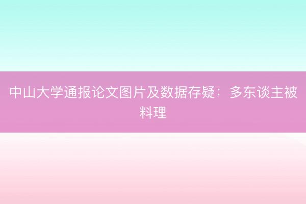 中山大学通报论文图片及数据存疑：多东谈主被料理