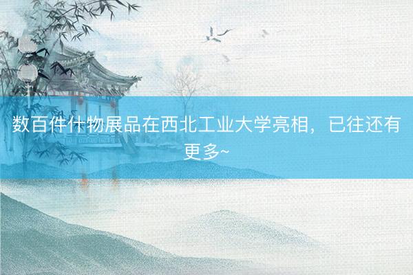 数百件什物展品在西北工业大学亮相，已往还有更多~