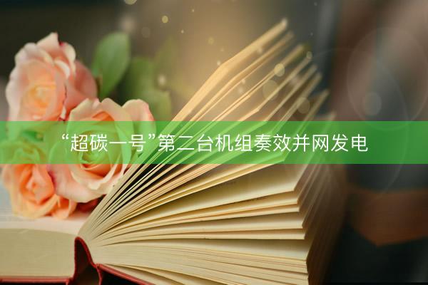 “超碳一号”第二台机组奏效并网发电