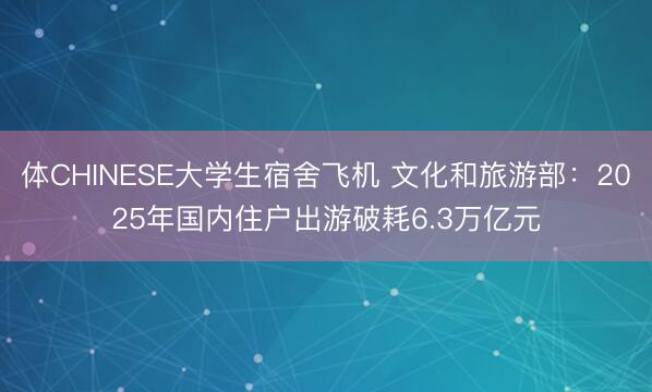 体CHINESE大学生宿舍飞机 文化和旅游部：2025年国内住户出游破耗6.3万亿元