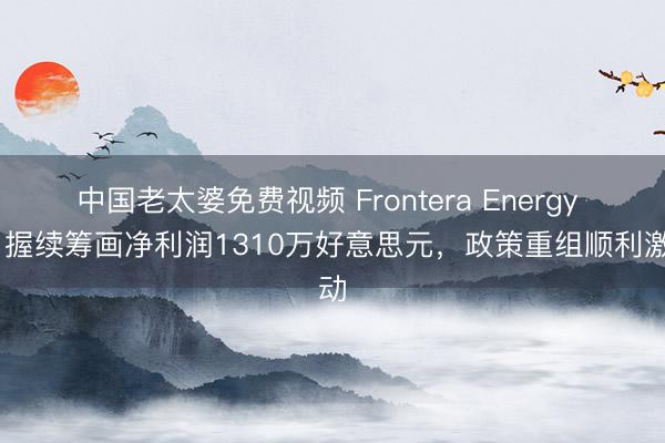 中国老太婆免费视频 Frontera Energy Q1握续筹画净利润1310万好意思元，政策重组顺利激动
