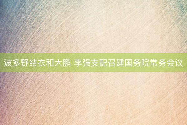 波多野结衣和大鹏 李强支配召建国务院常务会议