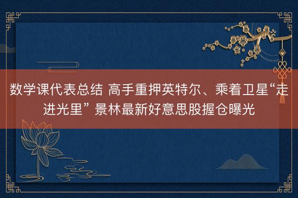 数学课代表总结 高手重押英特尔、乘着卫星“走进光里” 景林最新好意思股握仓曝光