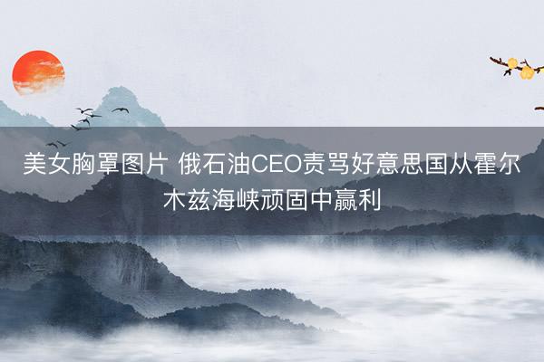 美女胸罩图片 俄石油CEO责骂好意思国从霍尔木兹海峡顽固中赢利
