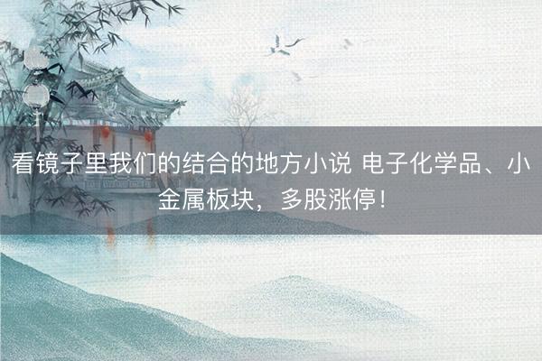 看镜子里我们的结合的地方小说 电子化学品、小金属板块，多股涨停！