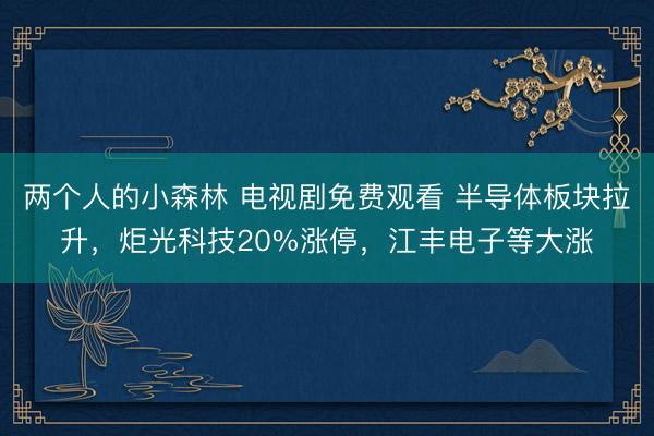 两个人的小森林 电视剧免费观看 半导体板块拉升，炬光科技20%涨停，江丰电子等大涨
