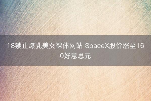 18禁止爆乳美女裸体网站 SpaceX股价涨至160好意思元