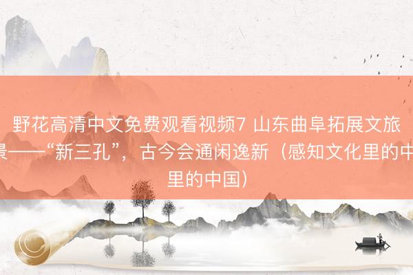 野花高清中文免费观看视频7 山东曲阜拓展文旅场景——“新三孔”，古今会通闲逸新（感知文化里的中国）