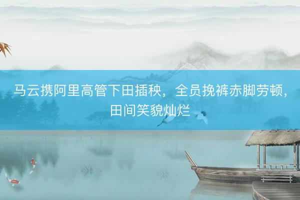 马云携阿里高管下田插秧，全员挽裤赤脚劳顿，田间笑貌灿烂