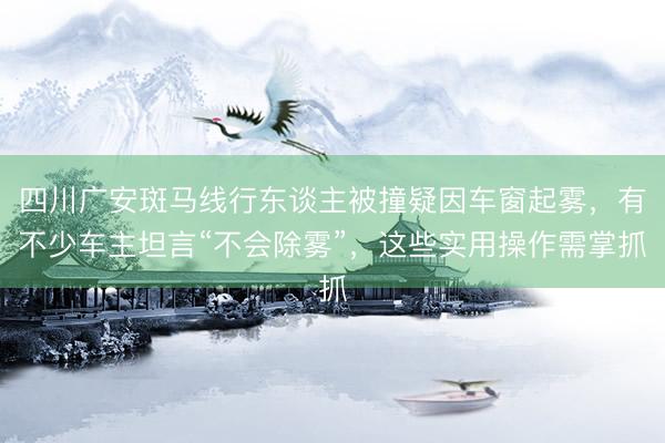四川广安斑马线行东谈主被撞疑因车窗起雾，有不少车主坦言“不会除雾”，这些实用操作需掌抓