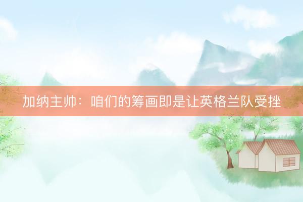 加纳主帅：咱们的筹画即是让英格兰队受挫